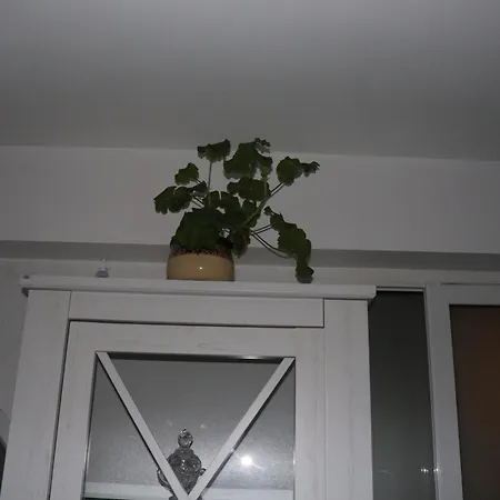 комфортен апартамент, безплатно гараж! *