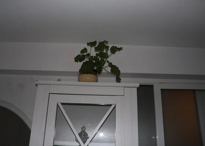 комфортен апартамент, безплатно гараж! *