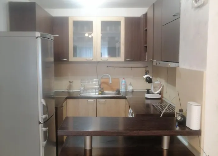 комфортен апартамент, безплатно гараж! Sofia